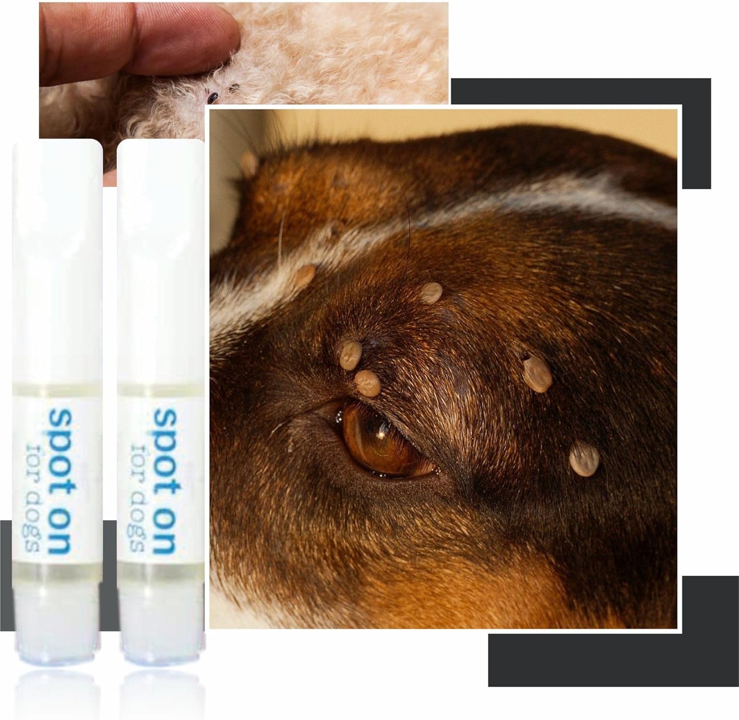 Pride & Groom Dog Flea Tick Repellent Spot On, Natural Protection, Pet-Safe Formula, Quick Application