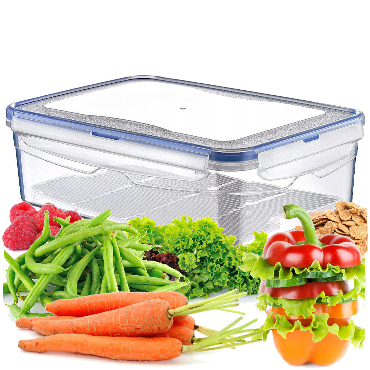 Hobby Life Clip Click & Lock Airtight Storage Box 2.6L Clear Food Container Stackable Organization Bin