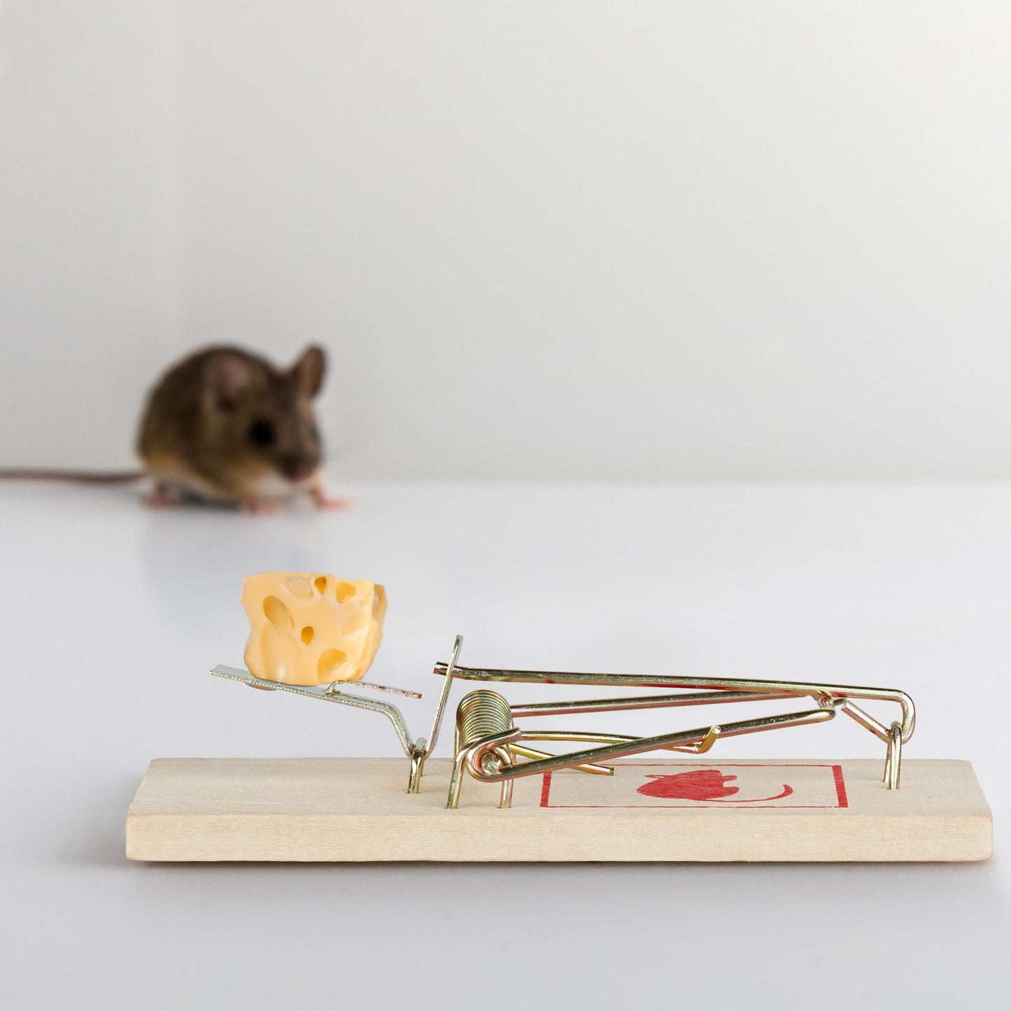 Ashley 3-Piece Wooden Mouse Traps, Eco-Friendly Rodent Control, Reusable Mice Catching Device