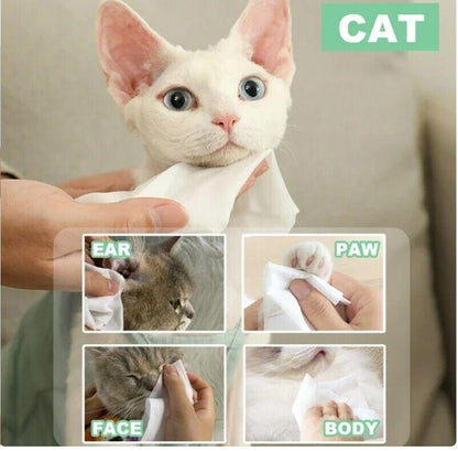 Pet Wipes – Gentle Grooming & Hygiene, 50 Pack for Dogs & Cats