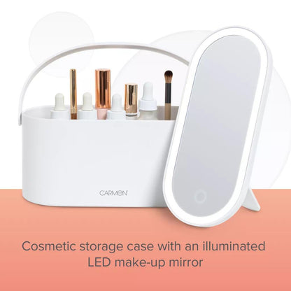 Portable LED Cosmetic Storage Case – Mirror, Dimming, USB Rechargeable