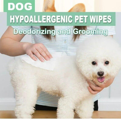 Pet Wipes – Gentle Grooming & Hygiene, 50 Pack for Dogs & Cats