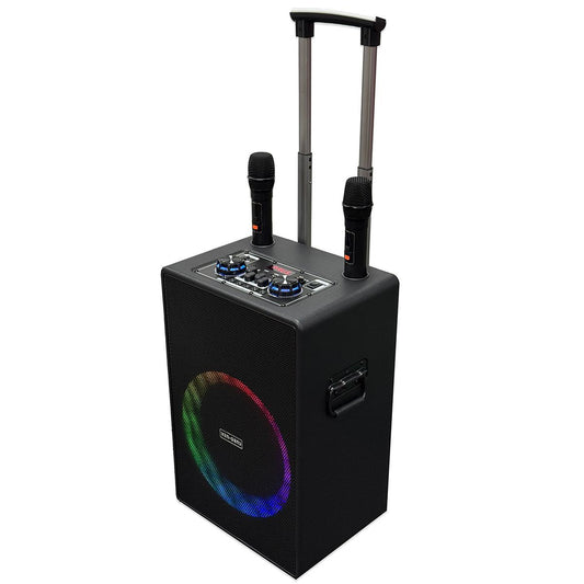 Portable Karaoke Speaker – Bluetooth, RGB Lighting & 2 Mics