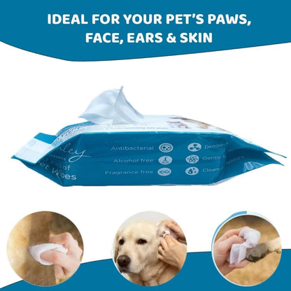 Pet Wipes – Gentle Grooming & Hygiene, 50 Pack for Dogs & Cats