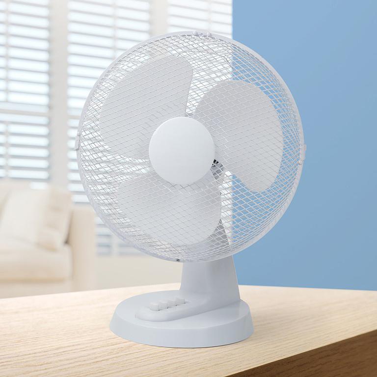 12” Oscillating Desk Fan – Quiet, Adjustable, Speed Control