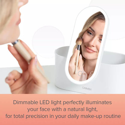 Portable LED Cosmetic Storage Case – Mirror, Dimming, USB Rechargeable