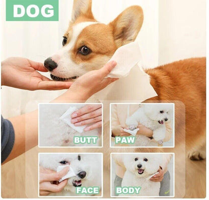 Pet Wipes – Gentle Grooming & Hygiene, 50 Pack for Dogs & Cats